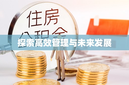 历下探索高效管理与未来发展