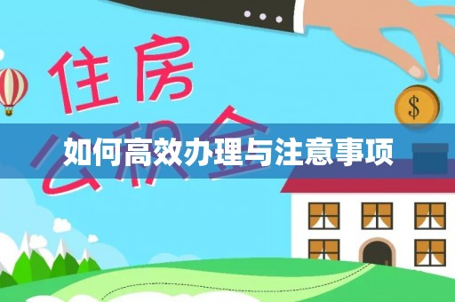 历下如何高效办理与注意事项