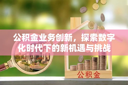 历下公积金业务创新，探索数字化时代下的新机遇与挑战