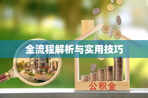 历下全流程解析与实用技巧