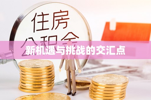 历下新机遇与挑战的交汇点