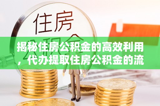 历下揭秘住房公积金的高效利用，代办提取住房公积金的流程与技巧