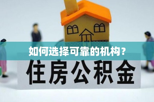 历下如何选择可靠的机构？