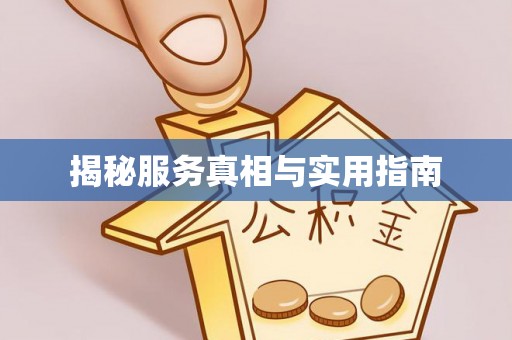 历下揭秘服务真相与实用指南