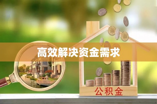 历下高效解决资金需求