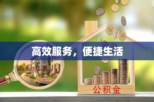 历下高效服务，便捷生活