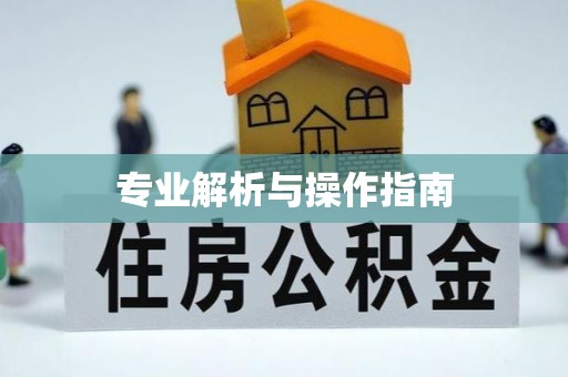 历下专业解析与操作指南
