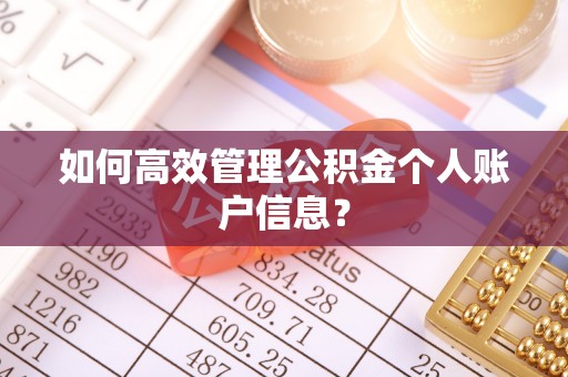 历下如何高效管理公积金个人账户信息？