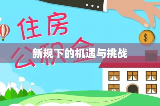 历下新规下的机遇与挑战