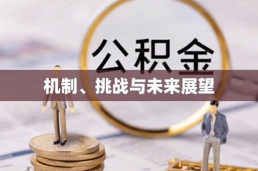 历下机制、挑战与未来展望